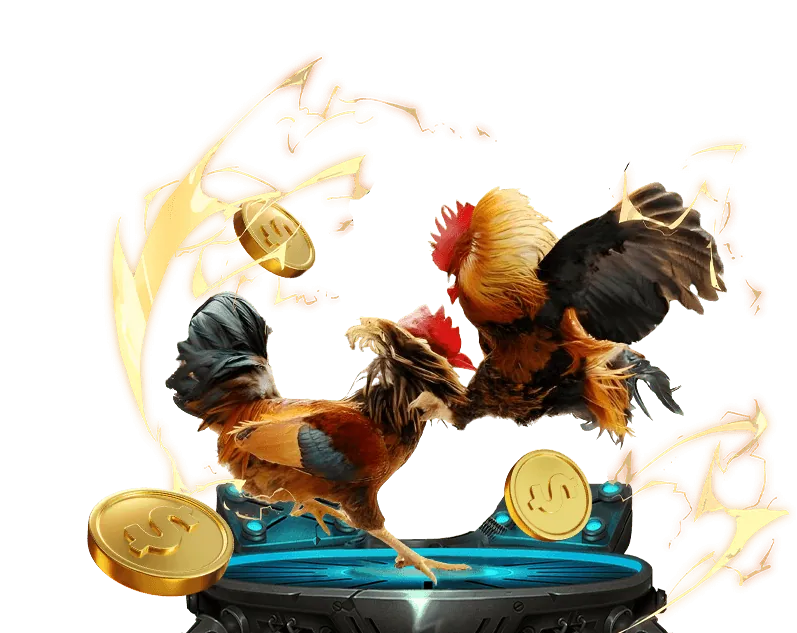 Tổng quan nền tảng WW88